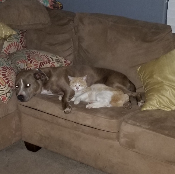 Meet your Posher, Caleb - Picture 6 of 8